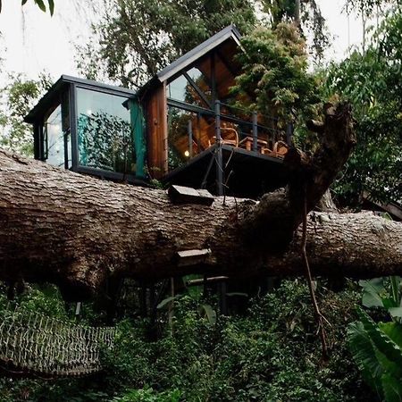 Wilderness Treehouse Villa Dojszaket Kültér fotó