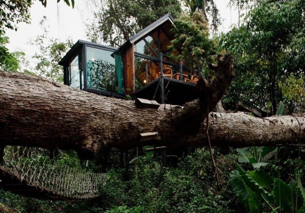 Wilderness Treehouse Villa Dojszaket Kültér fotó
