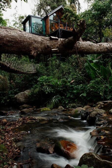 Wilderness Treehouse Villa Dojszaket Kültér fotó