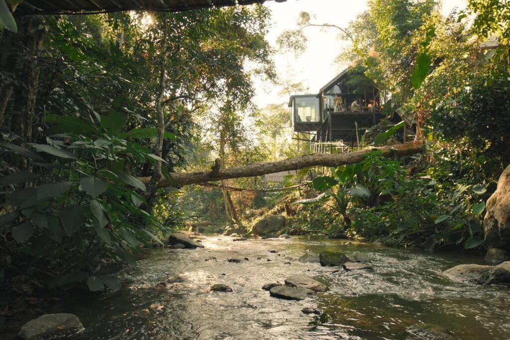 Wilderness Treehouse Villa Dojszaket Kültér fotó