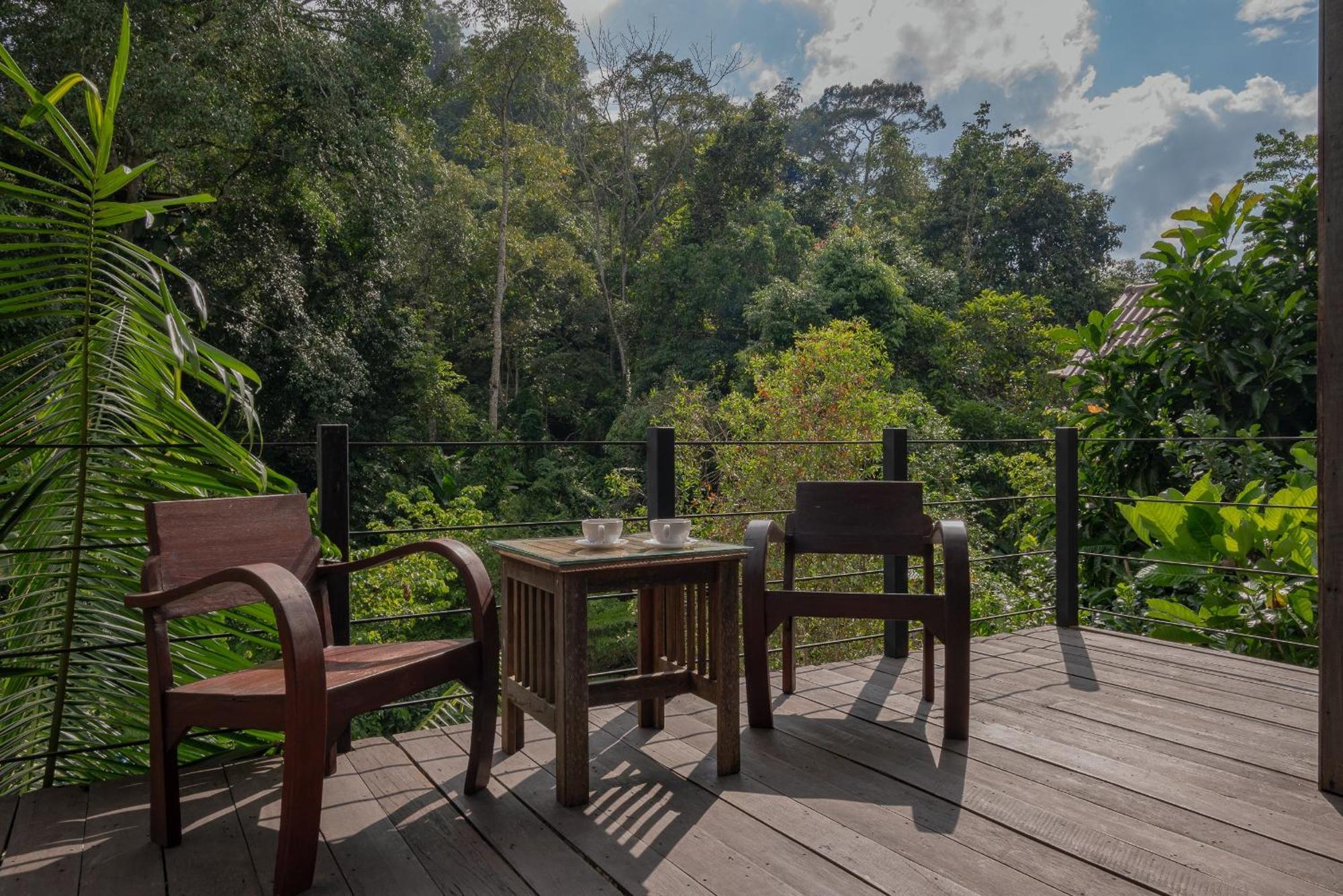 Wilderness Treehouse Villa Dojszaket Kültér fotó