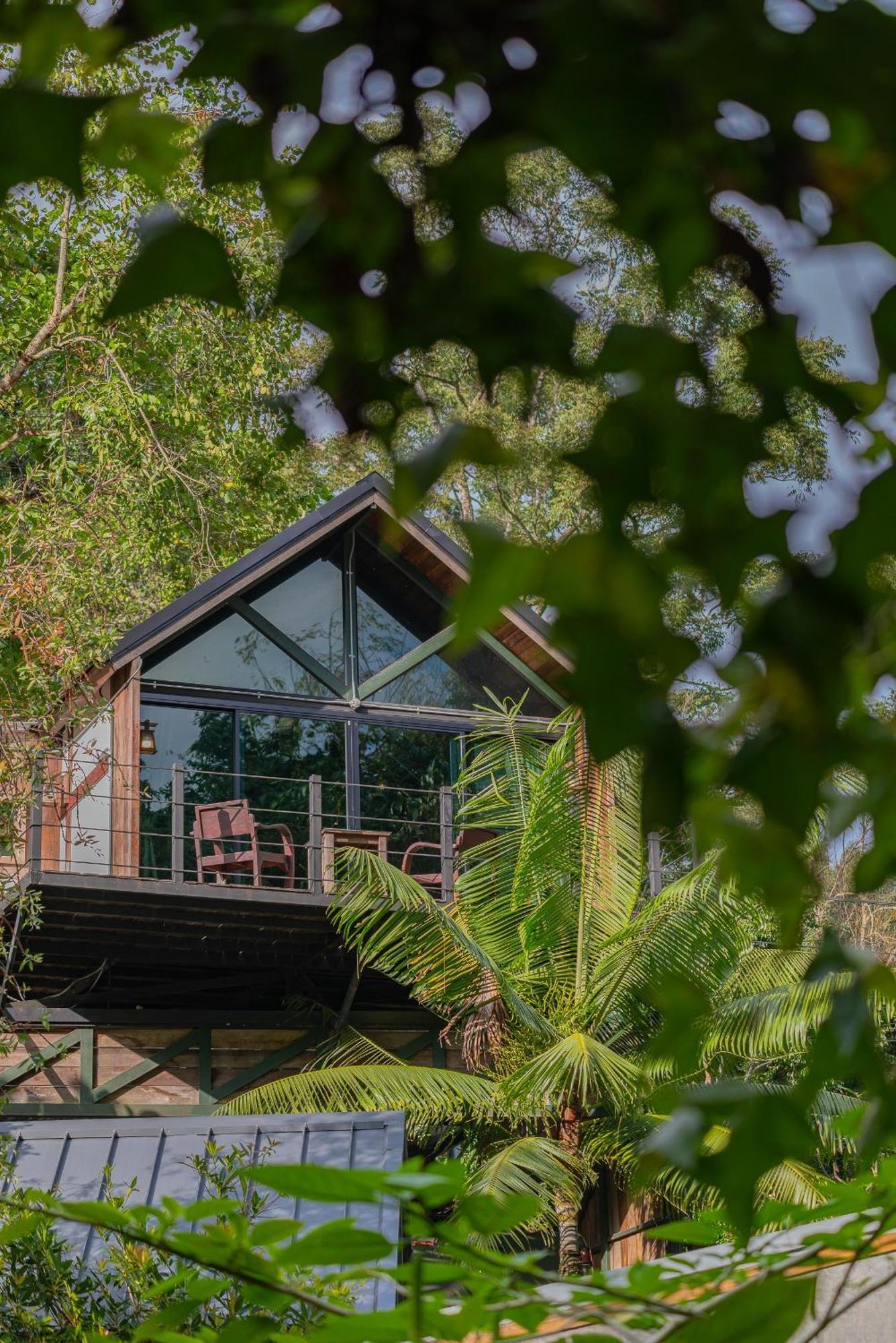 Wilderness Treehouse Villa Dojszaket Kültér fotó