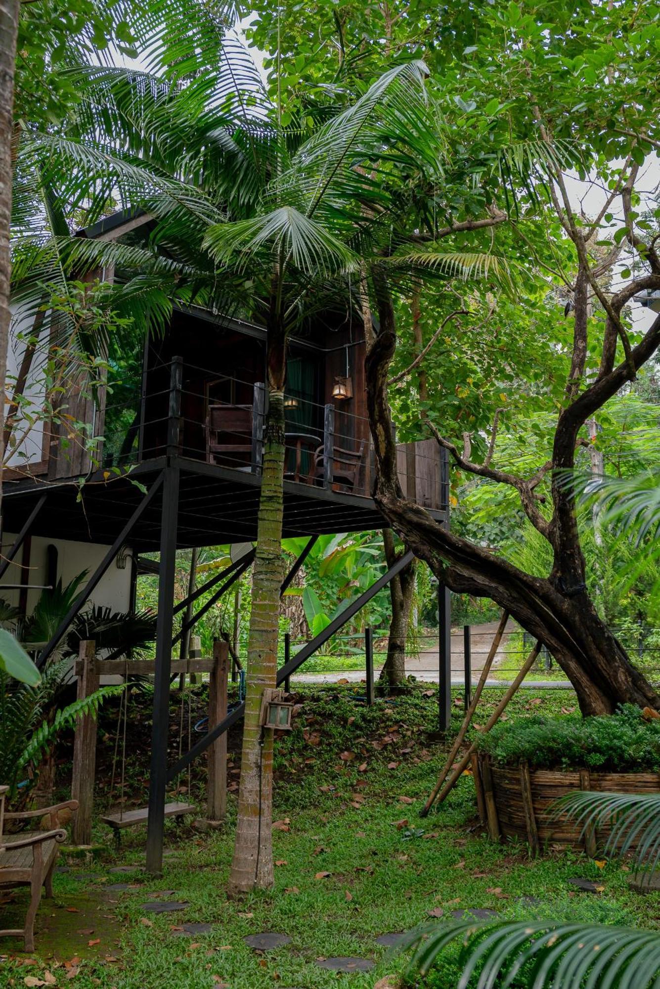Wilderness Treehouse Villa Dojszaket Kültér fotó