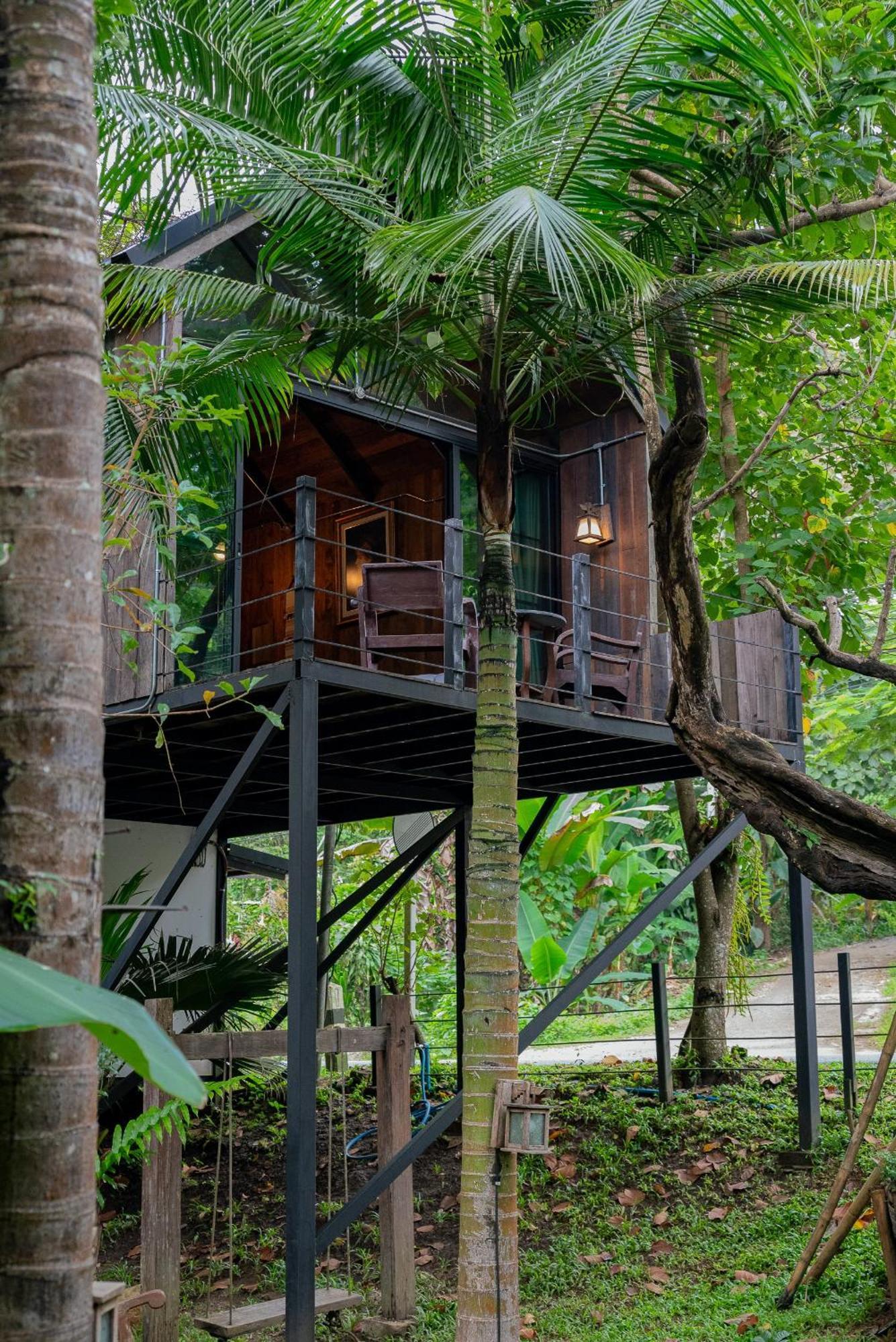 Wilderness Treehouse Villa Dojszaket Kültér fotó