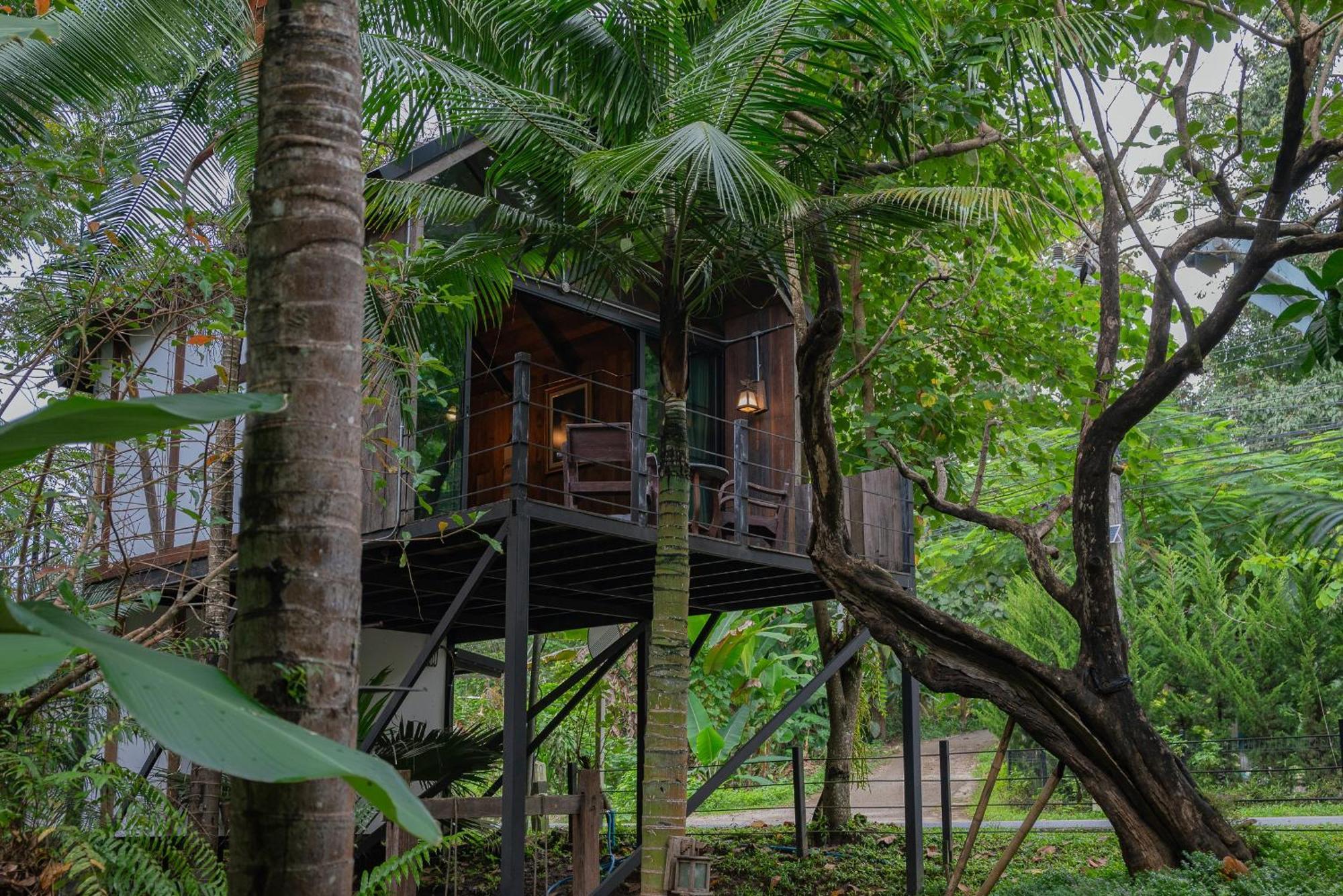 Wilderness Treehouse Villa Dojszaket Kültér fotó