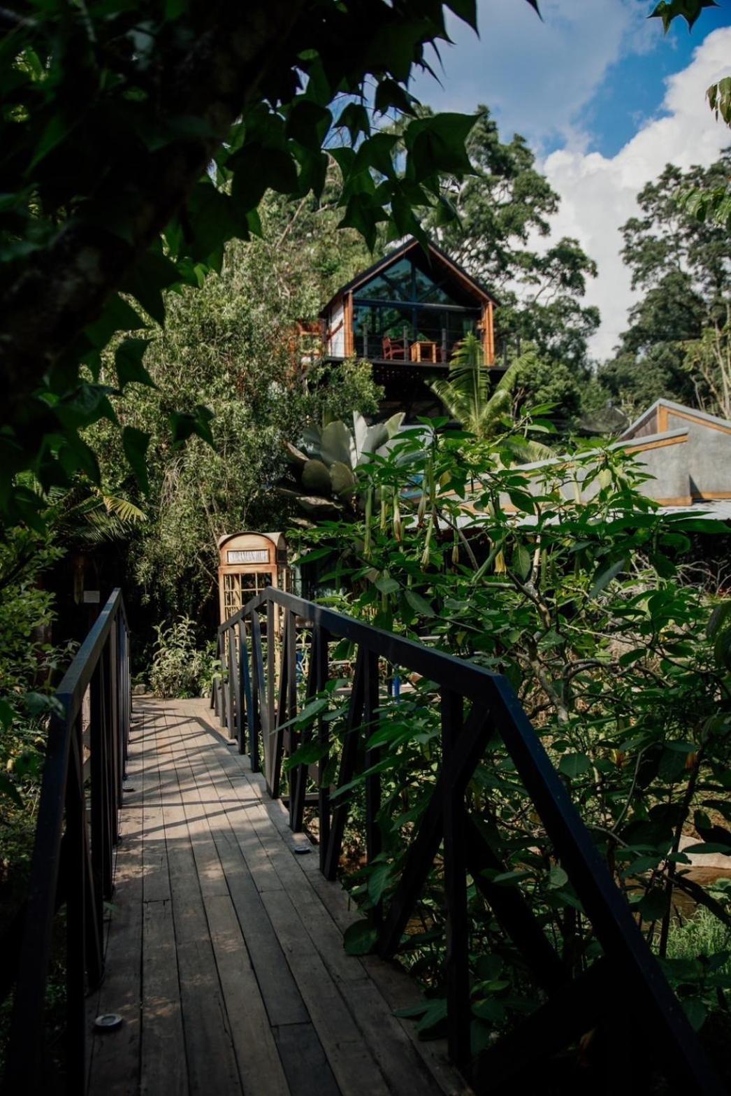 Wilderness Treehouse Villa Dojszaket Kültér fotó