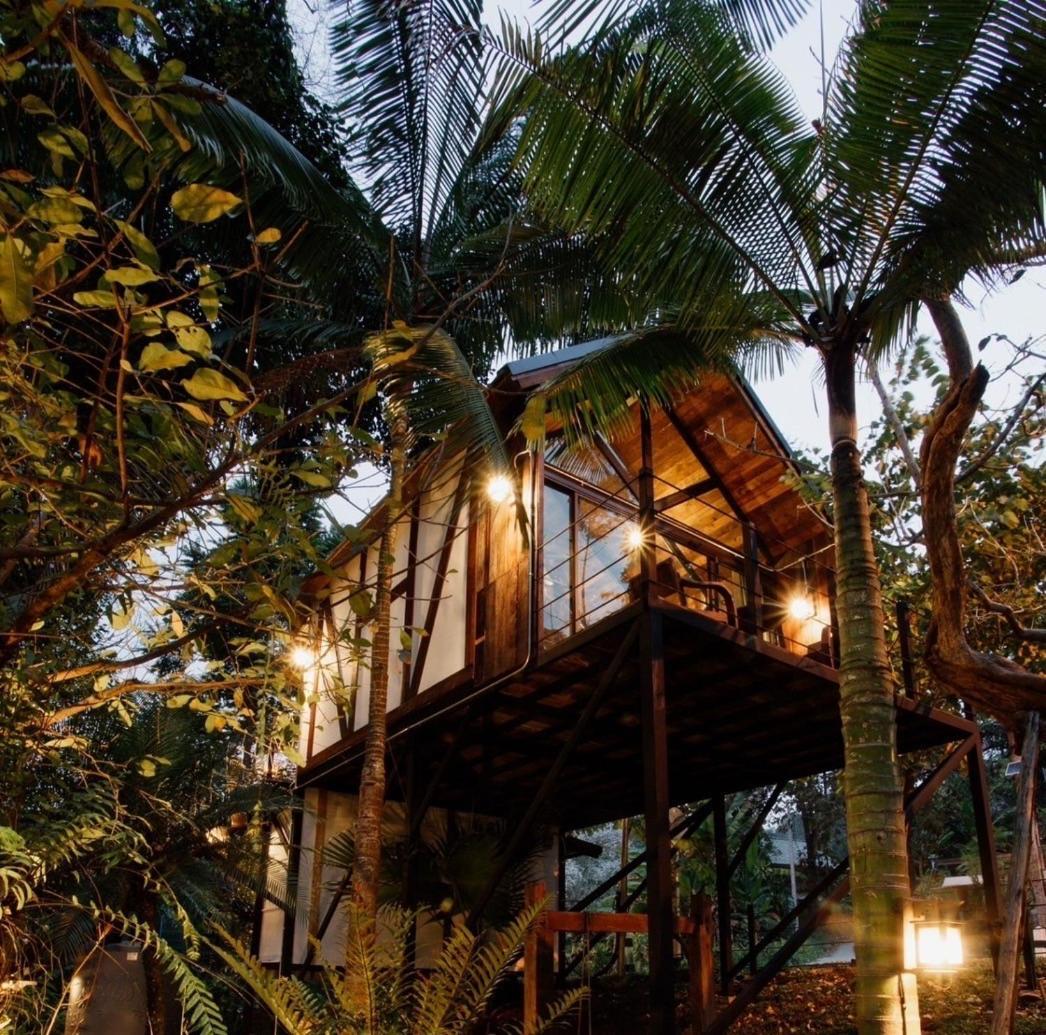 Wilderness Treehouse Villa Dojszaket Kültér fotó