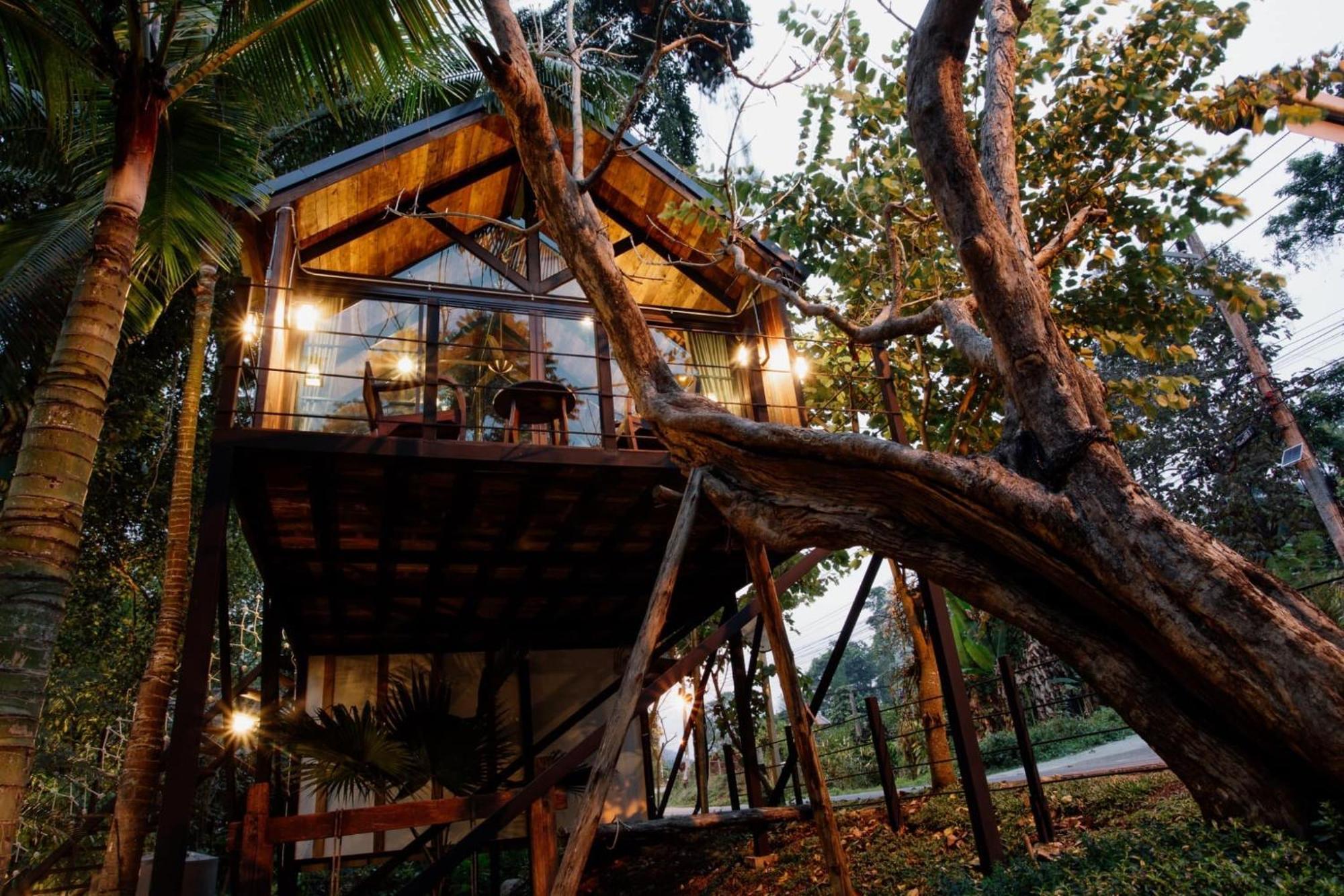 Wilderness Treehouse Villa Dojszaket Kültér fotó