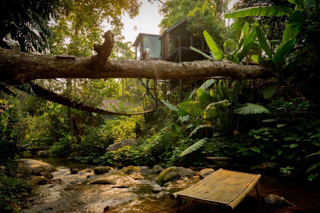 Wilderness Treehouse Villa Dojszaket Kültér fotó